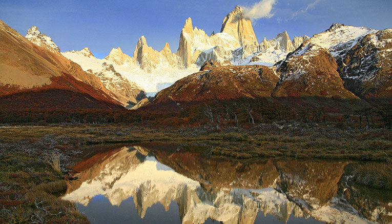 Wari-argentina-walking-3